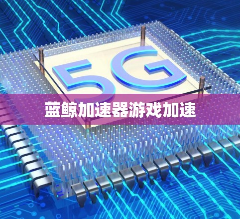 蓝鲸加速器游戏加速