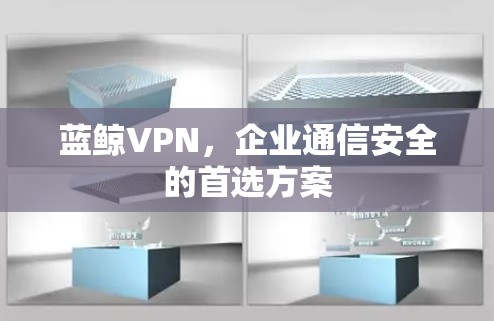 蓝鲸VPN，企业通信安全的首选方案