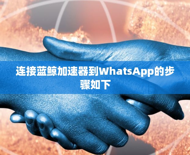 连接蓝鲸加速器到WhatsApp的步骤如下