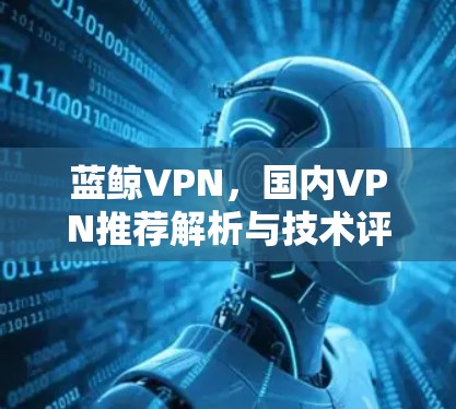 蓝鲸VPN，国内VPN推荐解析与技术评测