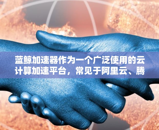 蓝鲸加速器作为一个广泛使用的云计算加速平台，常见于阿里云、腾讯云和七牛云等主流云服务提供商。以下是几种常见蓝鲸加速器的官方入口