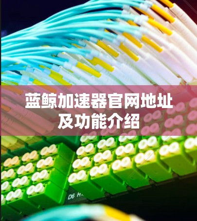 蓝鲸加速器官网地址及功能介绍