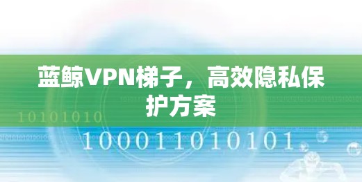 蓝鲸VPN梯子，高效隐私保护方案