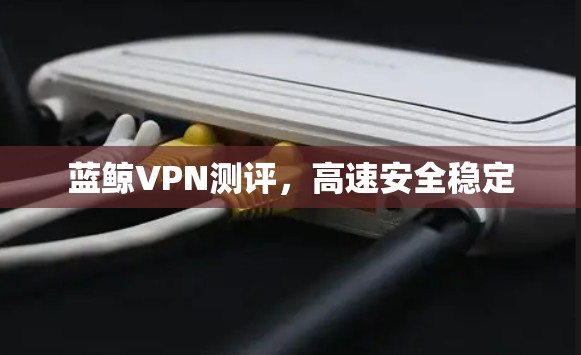 蓝鲸VPN测评，高速安全稳定