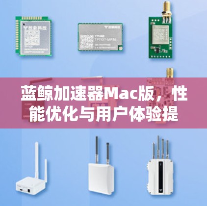 蓝鲸加速器Mac版，性能优化与用户体验提升