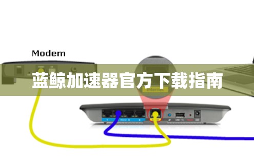 蓝鲸加速器官方下载指南