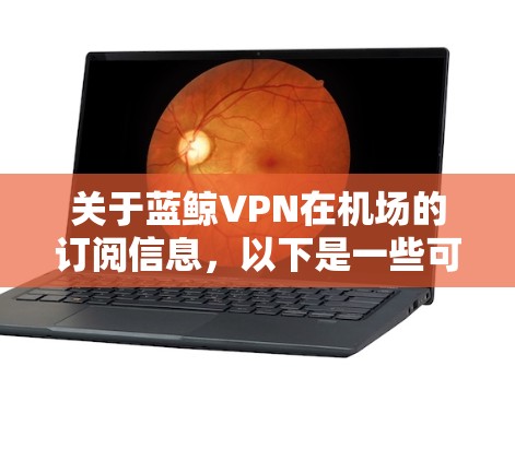 关于蓝鲸VPN在机场的订阅信息，以下是一些可能会关心的内容，供您参考