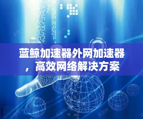 蓝鲸加速器外网加速器，高效网络解决方案