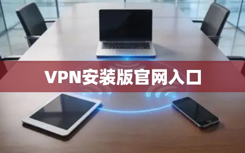 VPN安装版官网入口